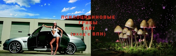 МДПВ Каменногорск