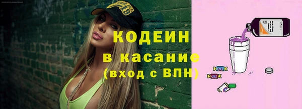 дмт Инсар