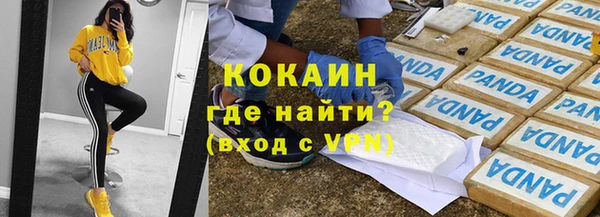 МДПВ Каменногорск