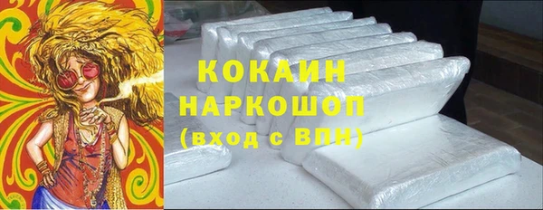 МДПВ Каменногорск