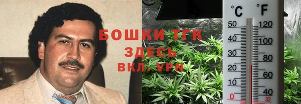 МДПВ Каменногорск