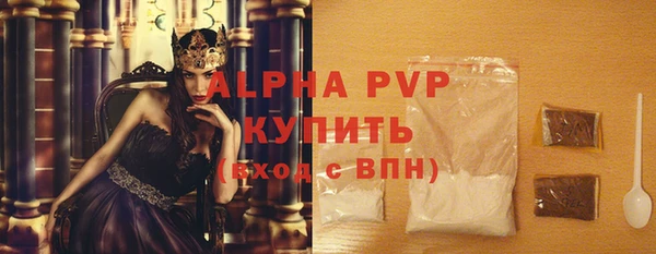 МДПВ Каменногорск